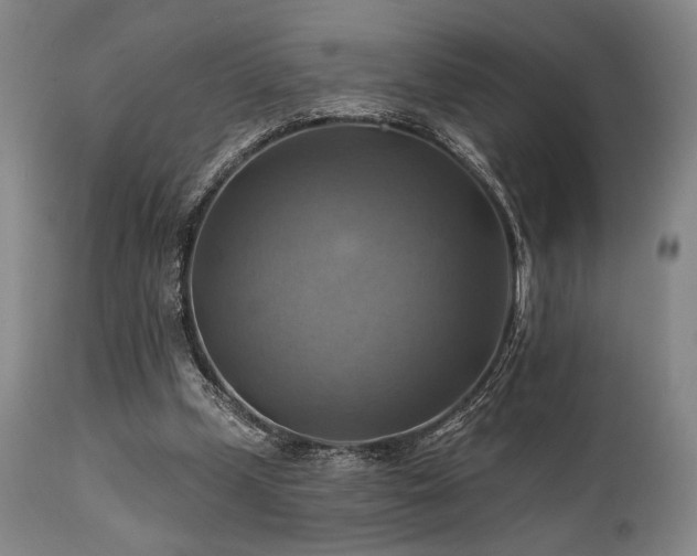 X0000112030249200908031443