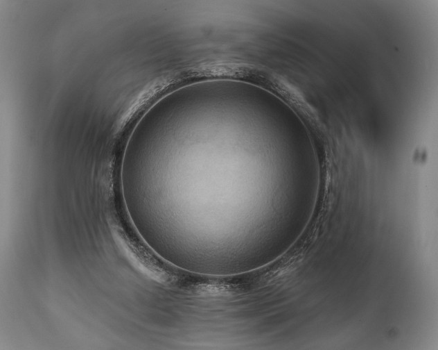 X0000112030250200908031443