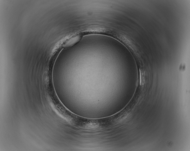X0000112030252200908031443