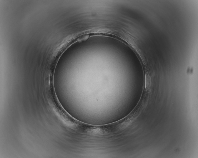X0000112030253200908031443