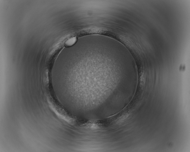 X0000112030254200908031443