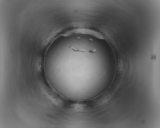 X0000112030255200908031443