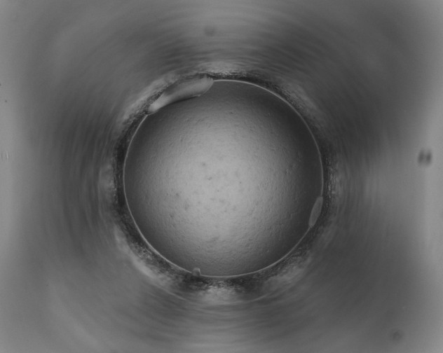 X0000112030256200908031443