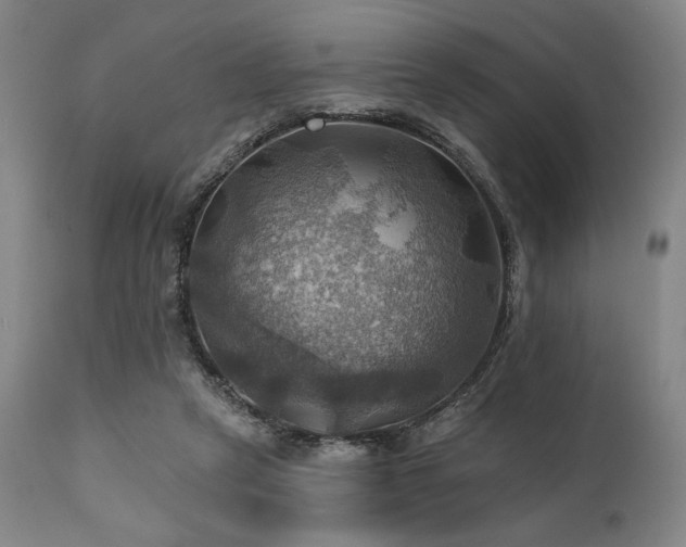 X0000112030257200908031443