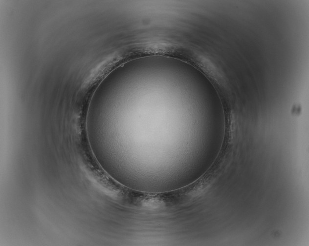 X0000112030258200908031443