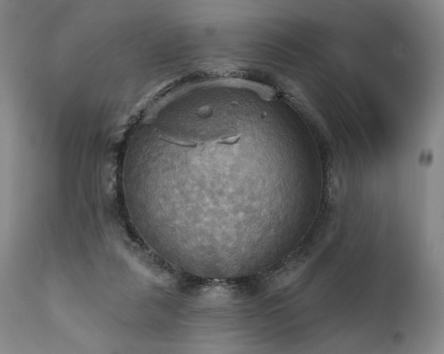 X0000112030259200908031443