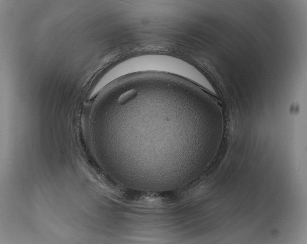 X0000112030260200908031443