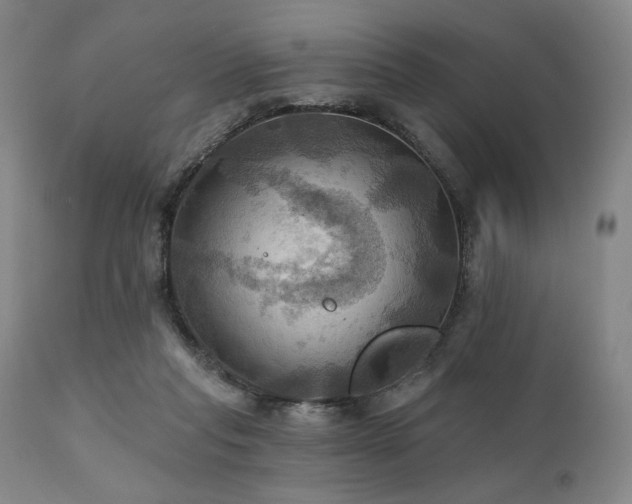X0000112030261200908031443