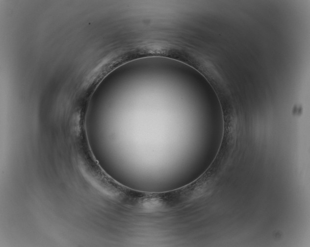 X0000112030262200908031443