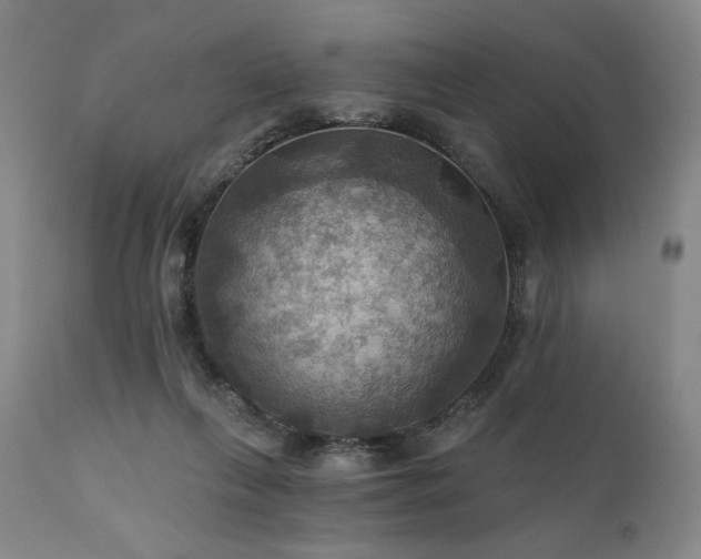 X0000112030263200908031443