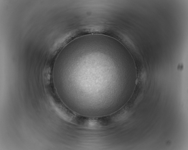X0000112030264200908031443