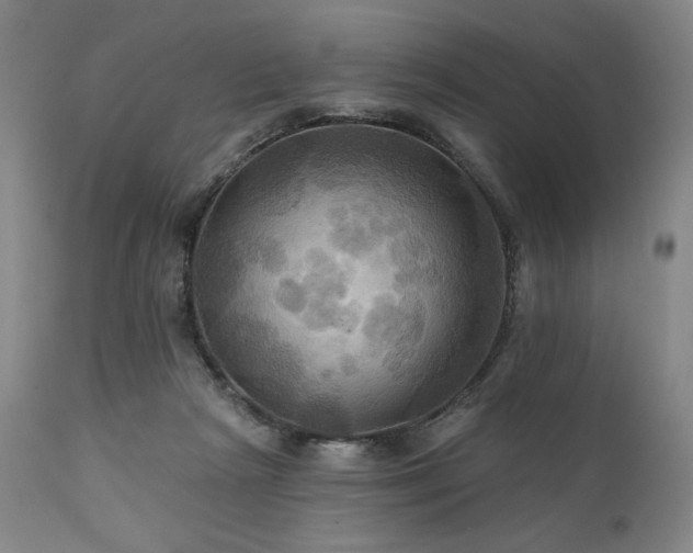 X0000112030265200908031443