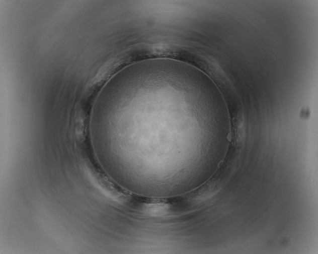 X0000112030266200908031443
