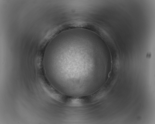 X0000112030268200908031443