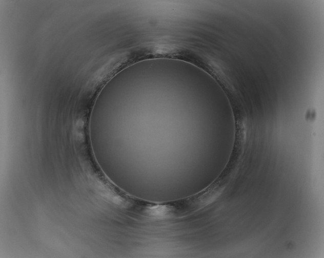 X0000112030269200908031443