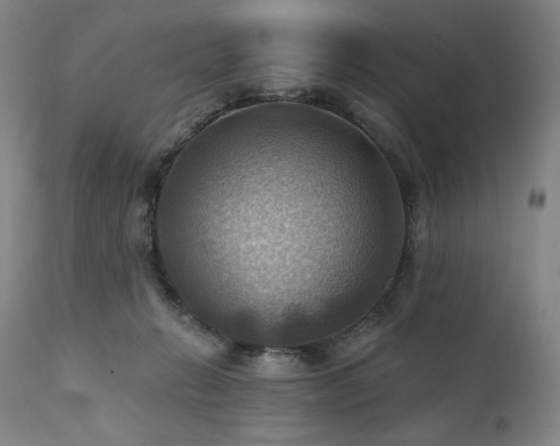 X0000112030270200908031443