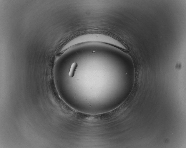 X0000112030272200908031443