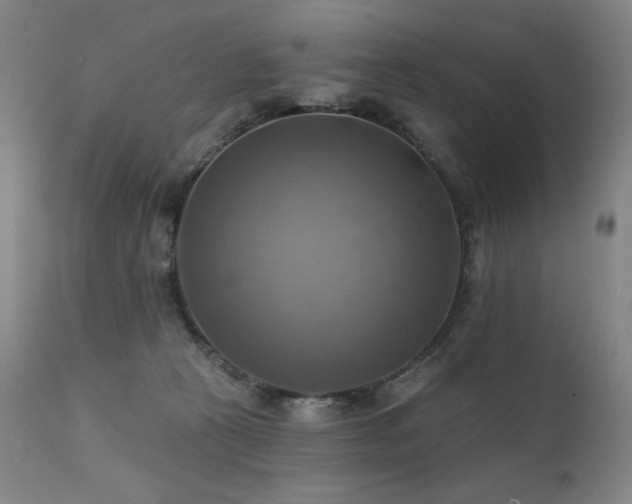 X0000112030273200908031443