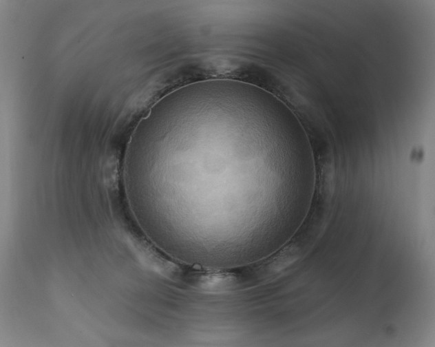 X0000112030274200908031443