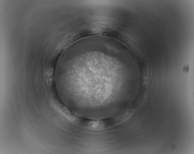 X0000112030275200908031443