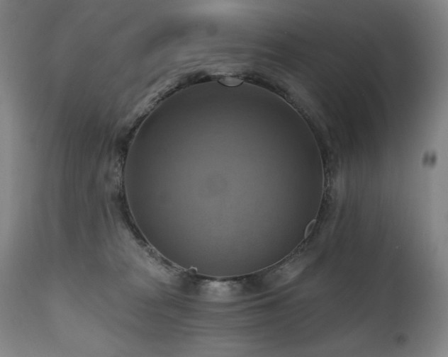 X0000112030277200908031443