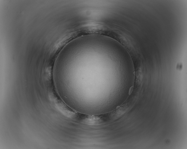 X0000112030278200908031443