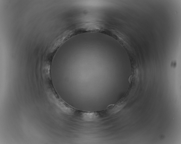 X0000112030281200908031443