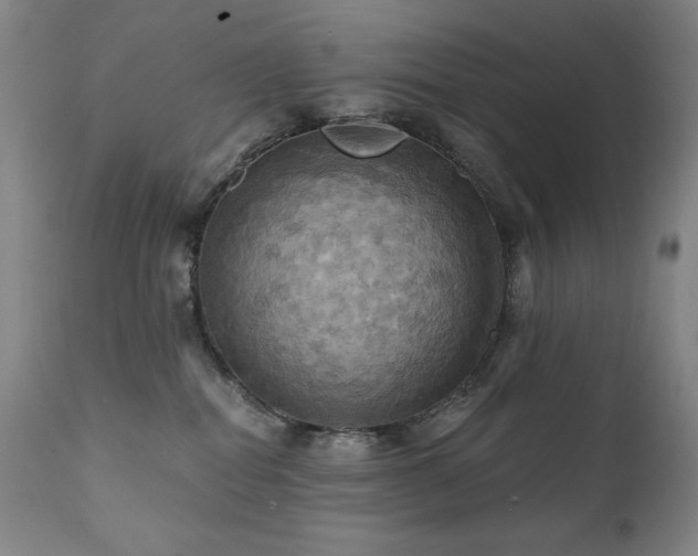 X0000112030282200908031443