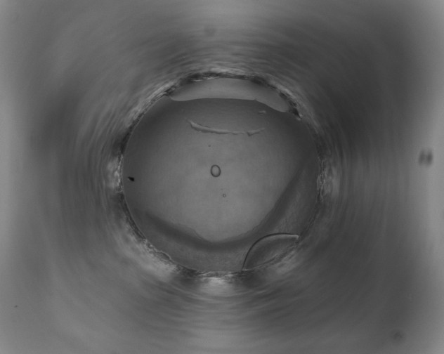 X0000112030285200908031443