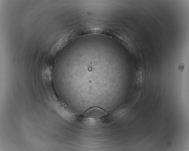 X0000112030286200908031443