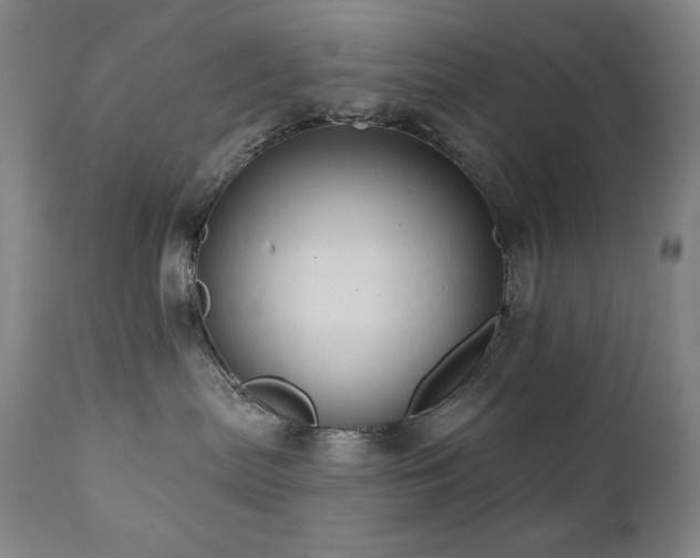 X0000112030287200908031443