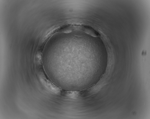 X0000112030288200908031443
