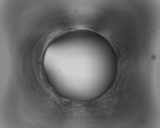 X0000112030289200908031443