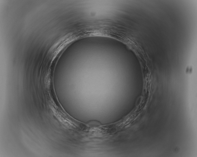 X0000112030290200908031443