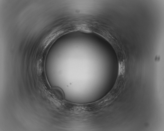 X0000112030291200908031443