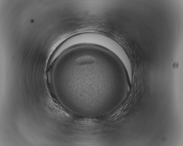 X0000112030292200908031443