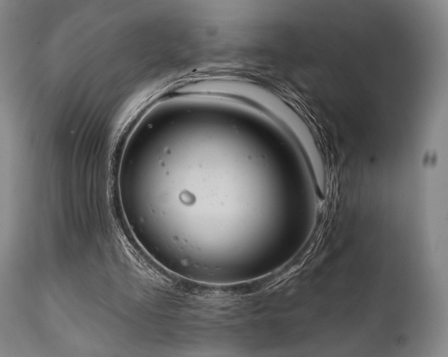X0000112030293200908031443