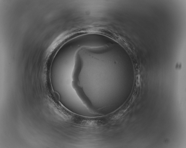 X0000112030295200908031443