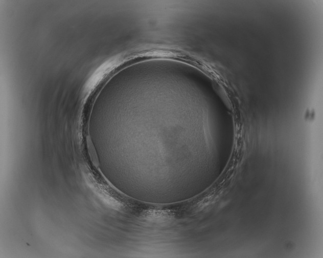 X0000112030296200908031443