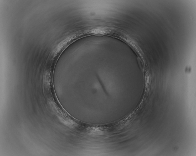 X0000112030297200908031443