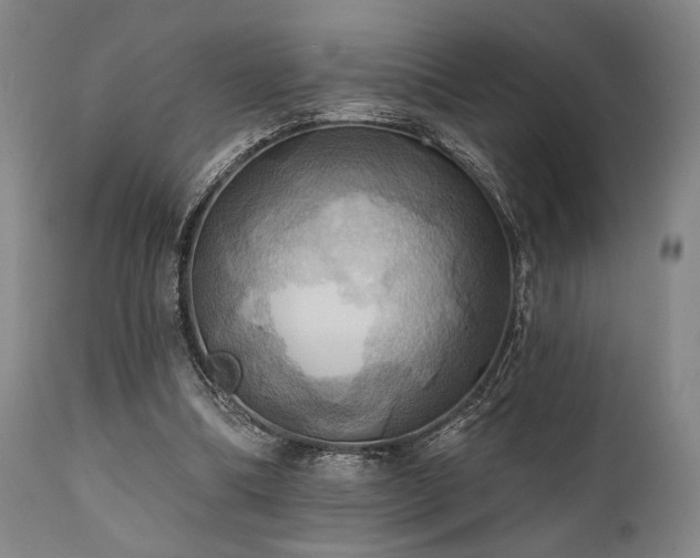 X0000112030298200908031443