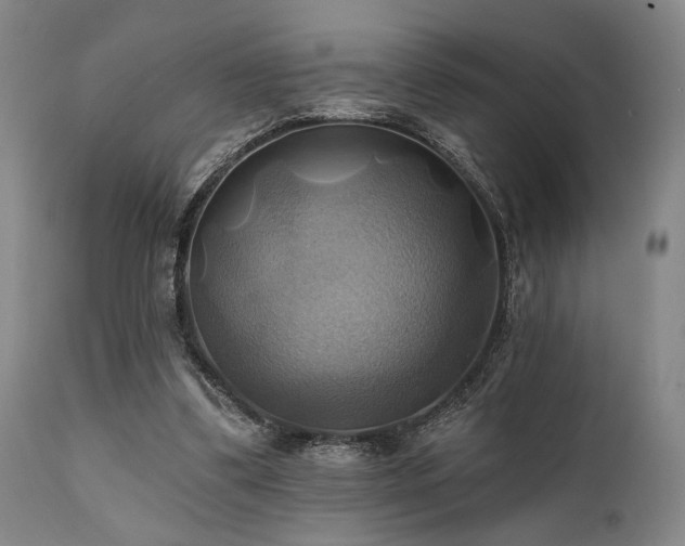 X0000112030299200908031443