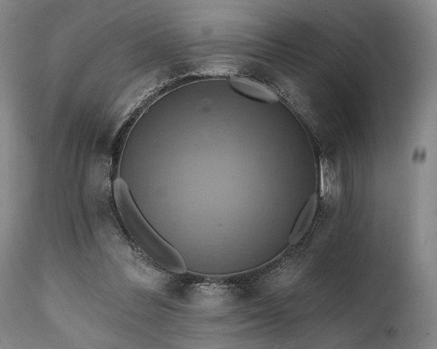 X0000112030300200908031443