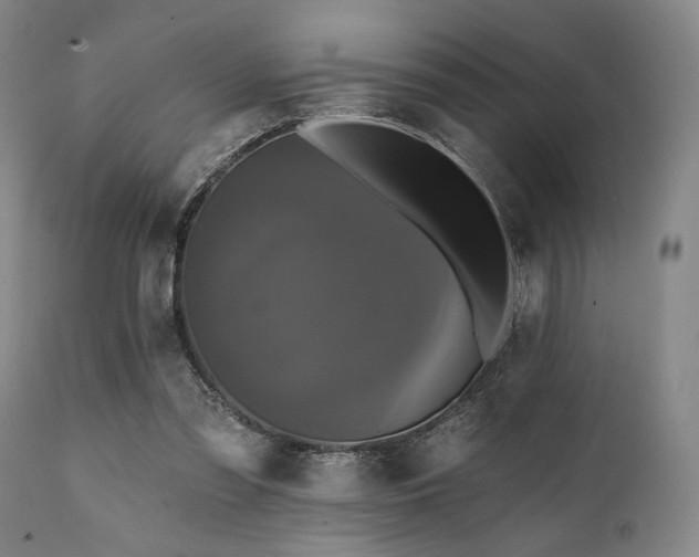 X0000112030301200908031443