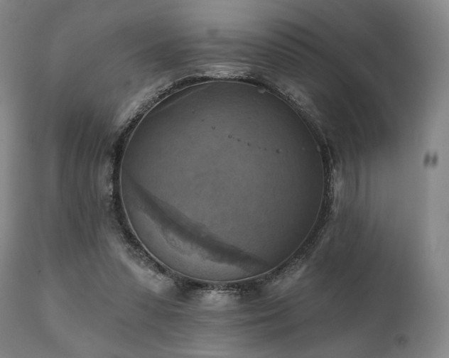 X0000112030303200908031443
