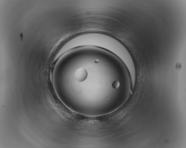 X0000112030304200908031443