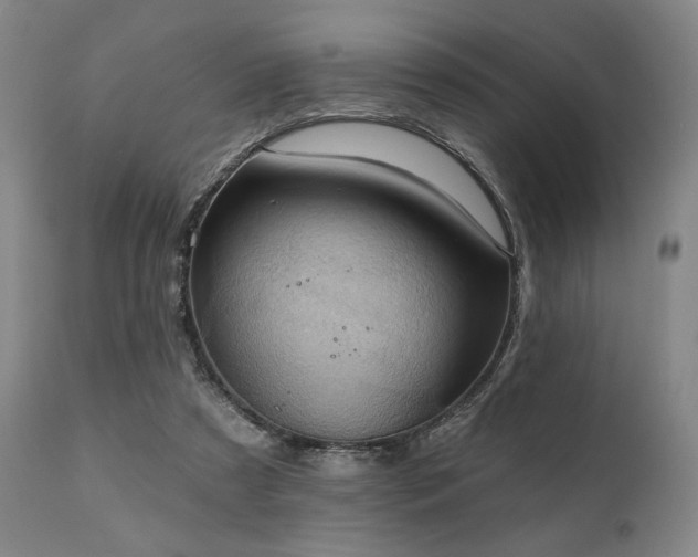 X0000112030305200908031443