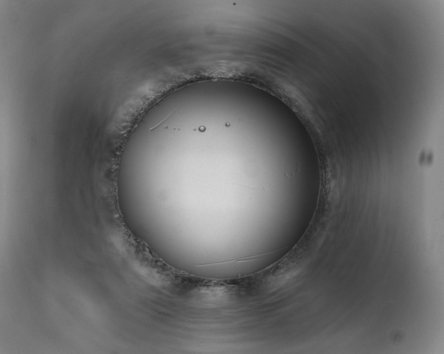 X0000112030307200908031442