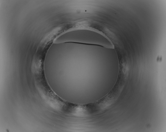 X0000112030308200908031442