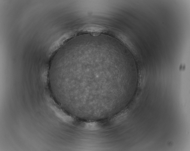 X0000112030309200908031442